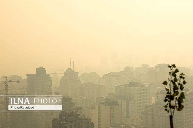 نفسم گرفت از این شهر