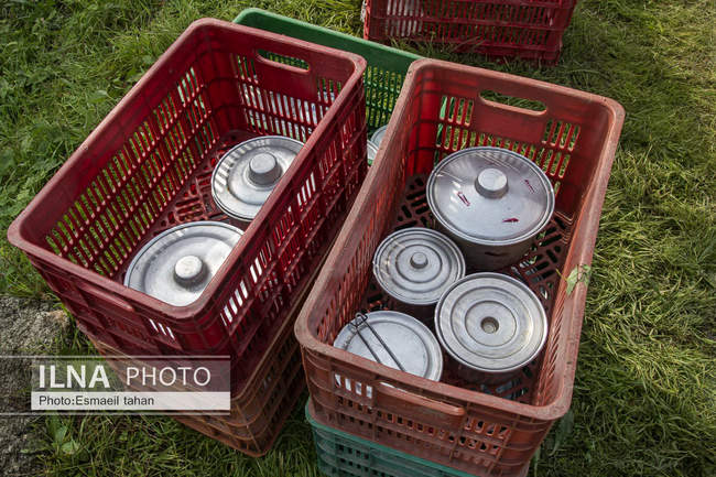 کار و امید، قصه زنان باغ کیوی