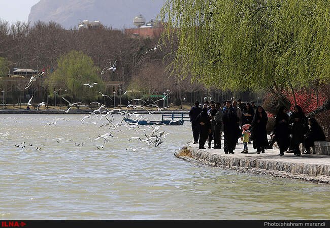 ایران در قاب / سی و سه پل اصفهان