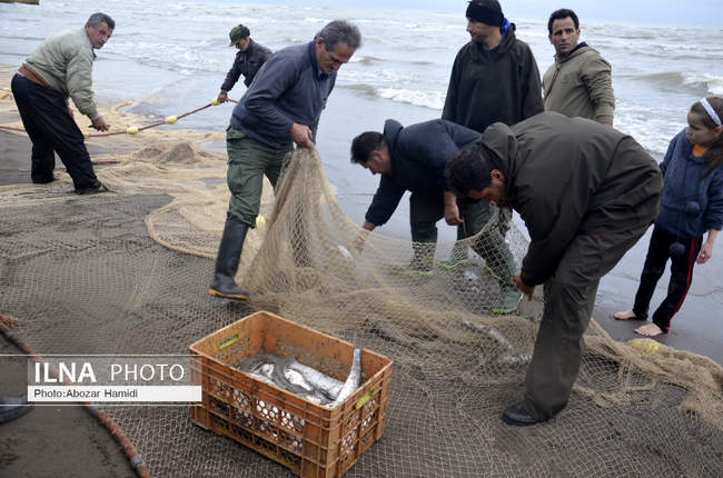 صید و صیادی در گیلان