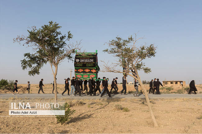 نخلگردانی روز عاشورا در پیرمراداباد اراک