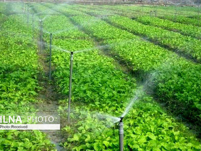 54 درصد از اراضی آبی همدان به سامانه های نوین ابیاری مجهز شده است