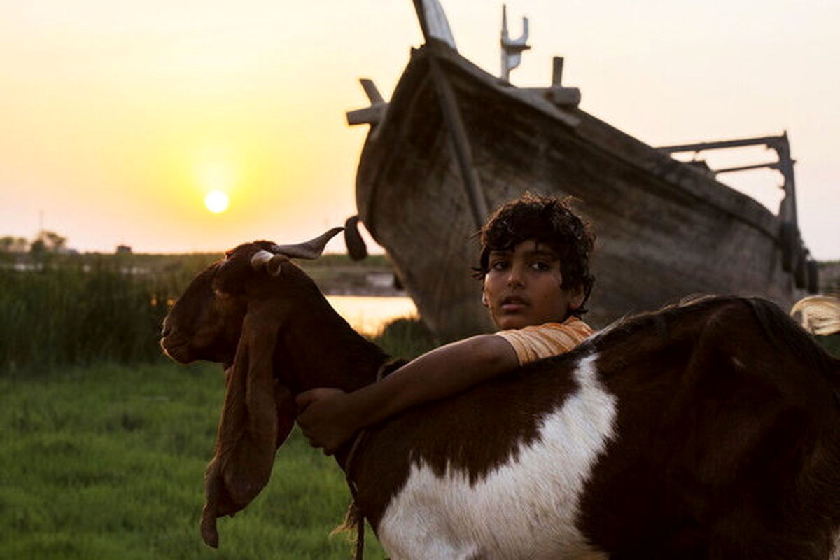 «یدو» پروانه نمایش گرفت/ مجوز اکران برای «گل به خودی» 