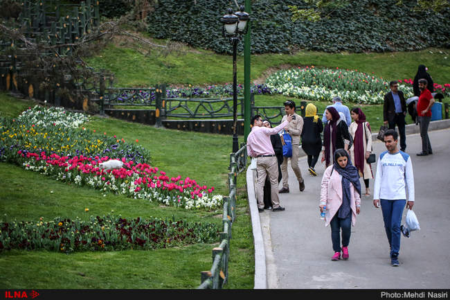 گلهای بهاری