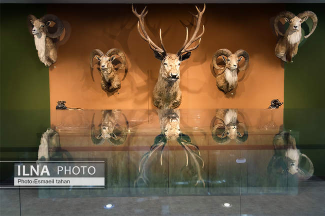 پردیس موزه ای رامسر، دریچه ای به مسیری که پیموده شده