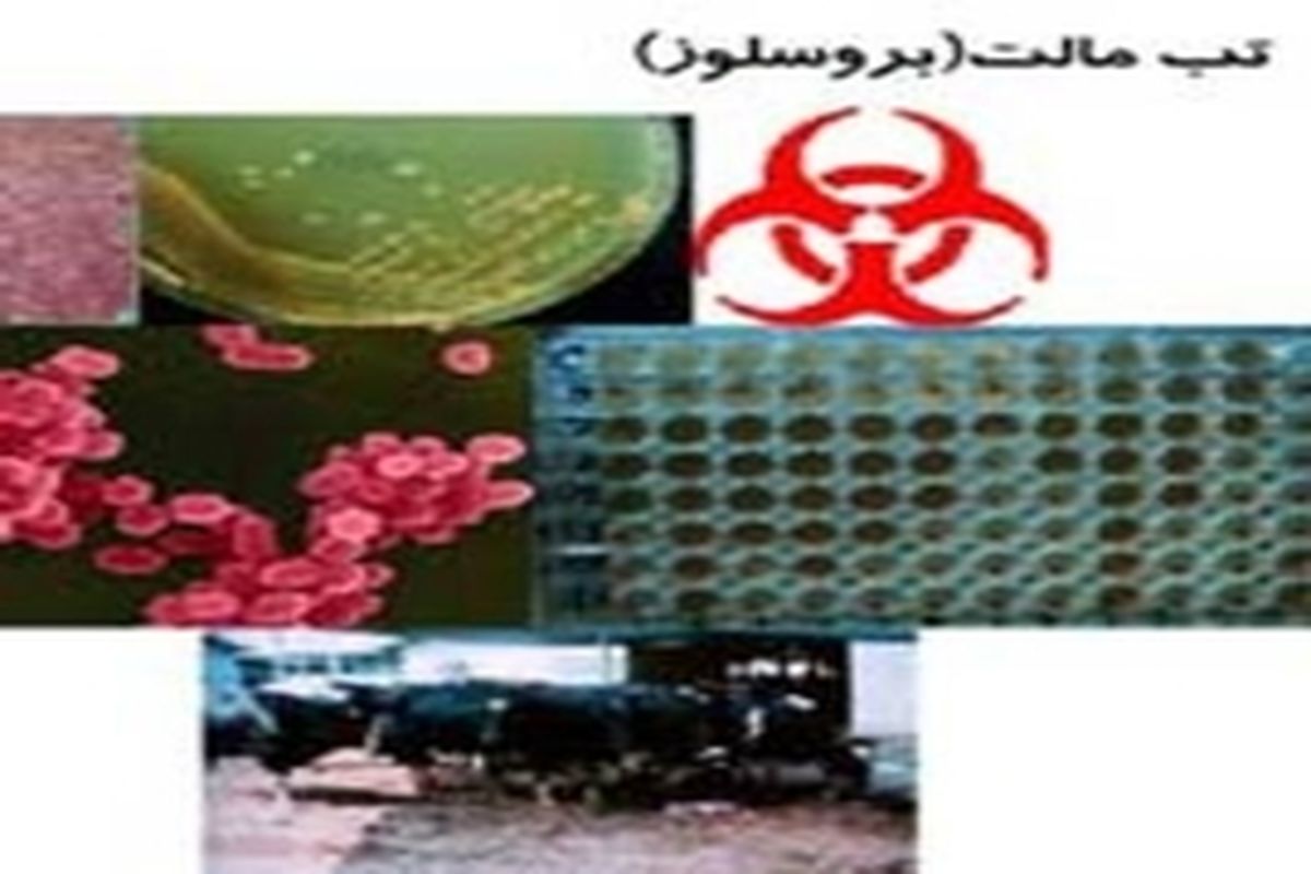 نشست منطقه‌ای تخصصی تب مالت در خرم آباد پایان یافت