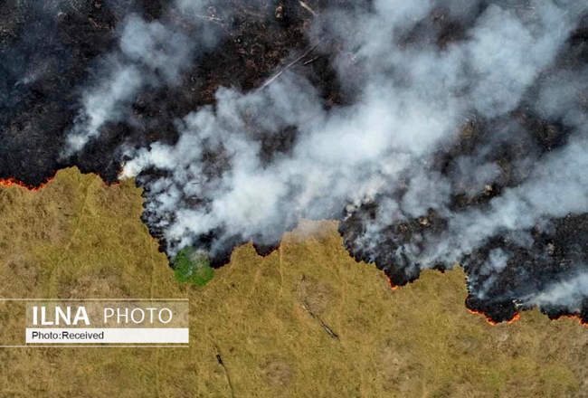 آتش سوزی در جنگل های آمازون