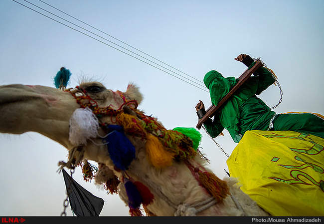 دهه اول محرم در یک نگاه-بوشهر