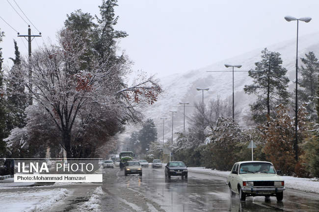 بارش برف زمستانی در شیراز