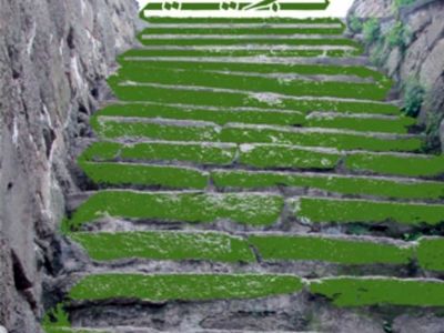 بازنشر دو اثر از سیدمهدی شجاعی