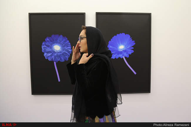 تصاویر افتتاحیه نمایشگاه عکس نیکی کریمی
