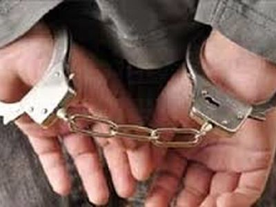 کشف ۱۰۲ تخلف محیط‌زیستی در استان تهران