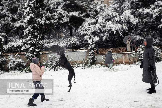 بارش سنگین برف در آتن