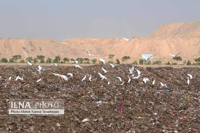 مجتمع پردازش پسماندتر  شهرداری اصفهان