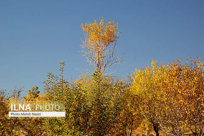  طبیعت پاییزی روستای سرسختی علیا