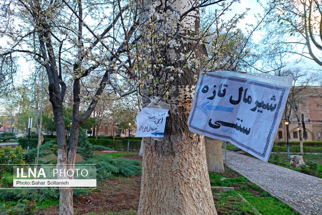 نمایشگاه‌های نوروزی در دولتخانه صفوی قزوین