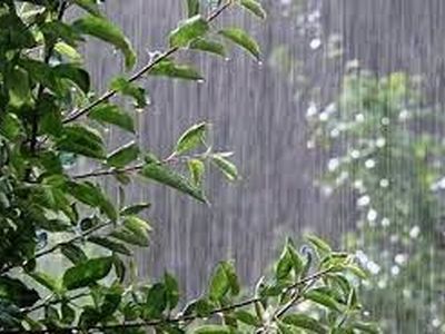 بارش پراکنده باران و همزمان افزایش نسبی دمای هوا تا اواسط هفته در گیلان
