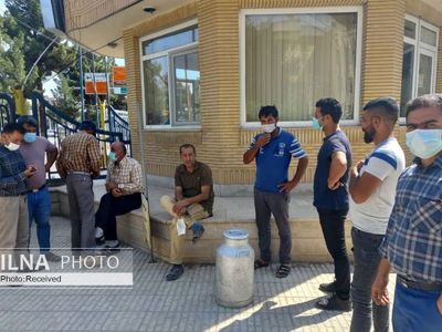 تجمع اعتراض آمیز گاوداران دامغانی مقابل اداره برق/ دامداران شیرها را داخل جوی آب ریختند  + فیلم