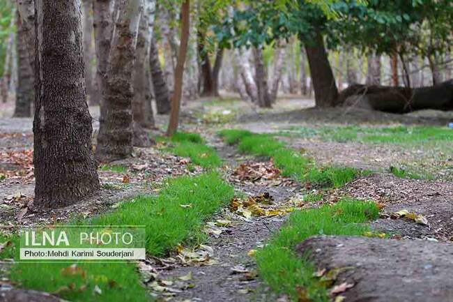 IMG_1413 copy