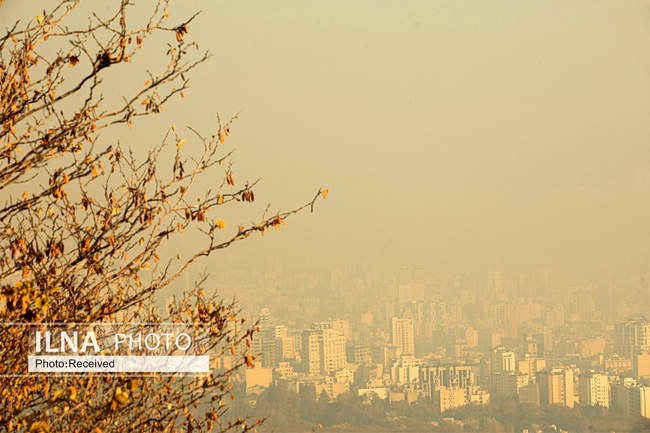 نفسم گرفت از این شهر