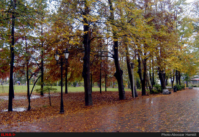 بارش باران در رشت