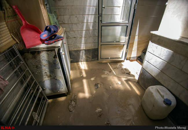 خانه به گل نشسته یک نوعروس؛ دستاورد دیگر شهرداری قم