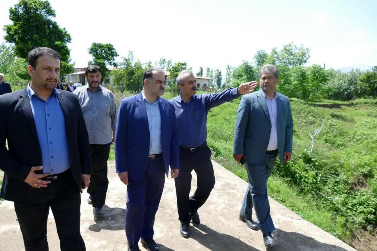 بازدید عامر از 2 مجتمع تولید قارچ بخش مرکزی و پروژه‌های عمران شهری شاندرمن