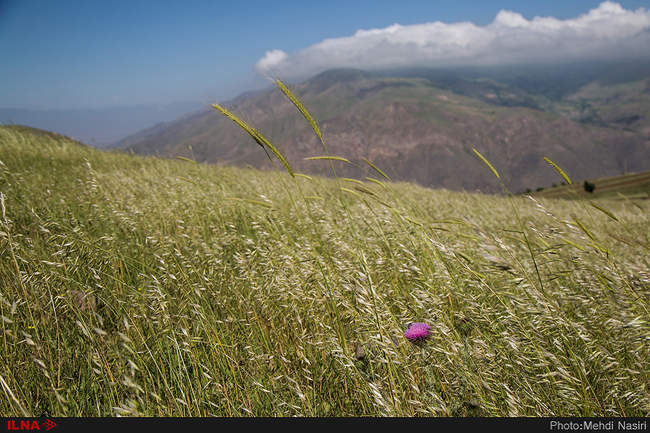 روستای کلشتر و توربین‌های بادی منجیل