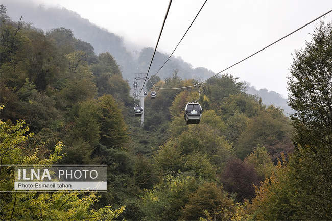 چشم انداز جنگل و دریا در قاب طبیعت