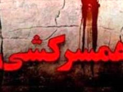 "ازدواج غیرخردمندانه" روح جامعه را آزار می‌دهد/ در ایران مرد مصون و اعتبار اجتماعی خانواده با "زن" است