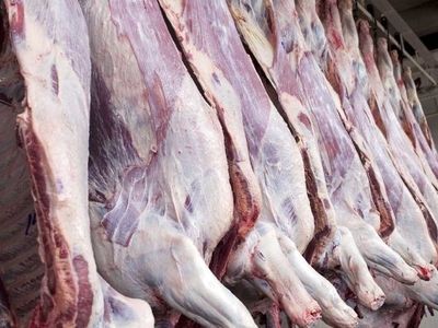 اختلاف ۶۲ درصدی گوشت گوسفندی در بازارهای تره‌بار نسبت به سطح شهر