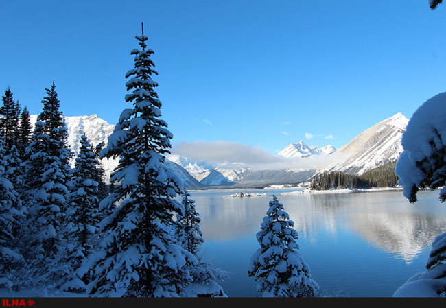 طبیعت یخ زده