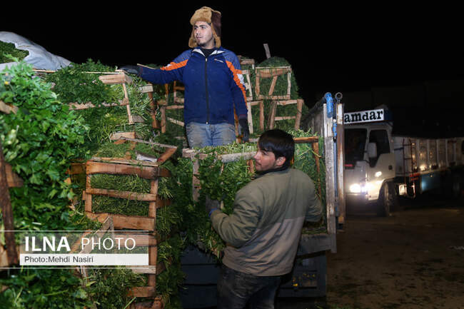 ساز ناکوک بهار سهمِ کارگران 