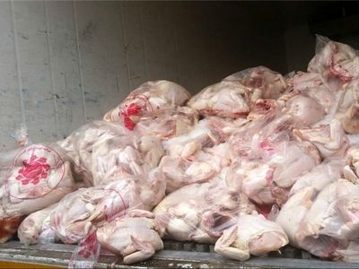 معدوم سازی 210 کیلوگرم گوشت مرغ در نظرآباد