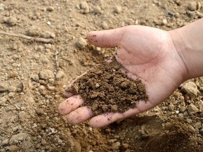 مراسم روز جهانی خاک آذرماه برگزار می شود