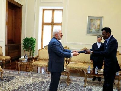 سفیر جدید زیمبابوه، استوارنامه خود را تقدیم ظریف کرد