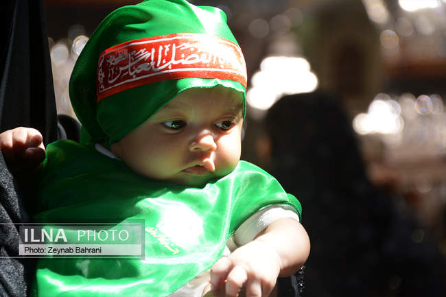 مراسم شیرخوارگان حسینی در حرم امام رضا (ع)