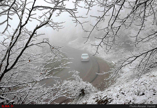 بارش برف بهاری در داماش گیلان