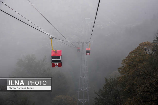 چشم انداز جنگل و دریا در قاب طبیعت