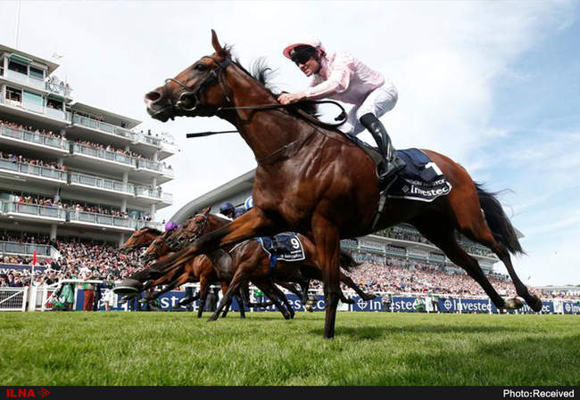 ورزش در هفتهای که گذشت