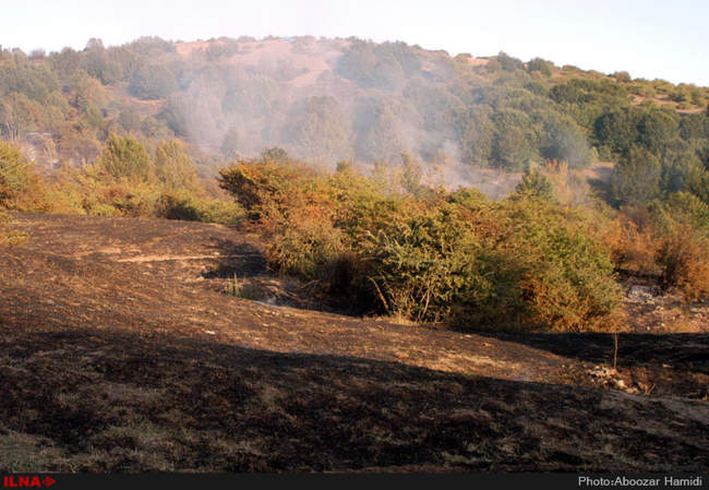 آتش سوزی مراتع و راشستانهای خورگام رودبار گیلان