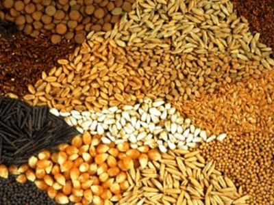 اعلام قیمت جدید ذرت، جو و کنجاله سویا در سامانه بازارگاه
