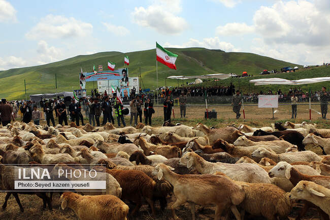 سی و یکمین جشنواره فرهنگی و ورزشی عشایر آذربایجان‌شرقی