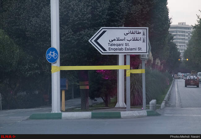 خیابانهای تهران در تصرف سفید بالک ها