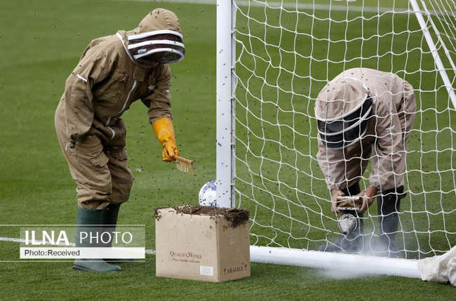 میهمان ناخوانده