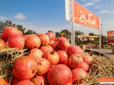 جشنواره طعم و رنگ پاییز در مشهد برگزار می‌شود 