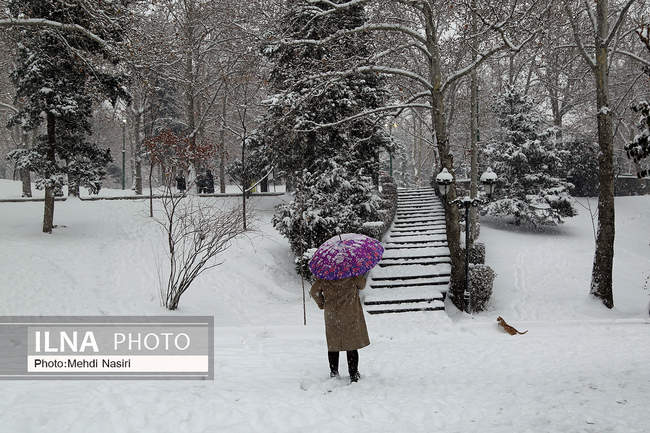 پارک ملت در یک روز برفی