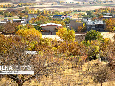 طرح روستای بدون بیکار در فرومد میامی دنبال می‌شود