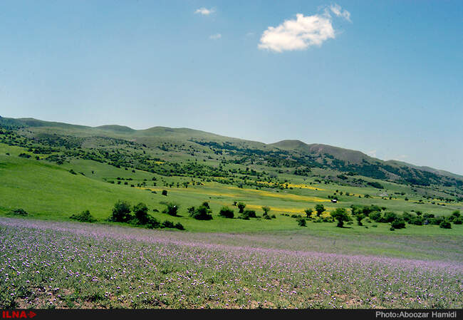 طبیعت بهاری دیلمان استان گیلان