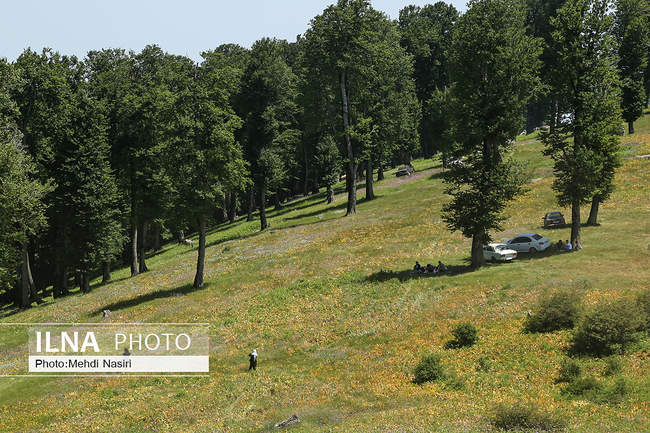 سلانسر یکی از زیباترین ییلاقات رودبار